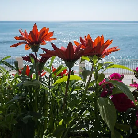 Joanna Flat Σπίτι διακοπών